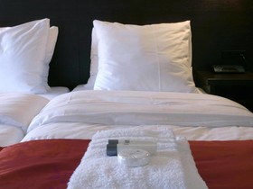 Badhotel Bruin