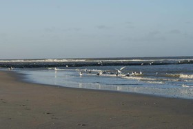 De Herbergh van Flielant