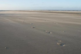 De Herbergh van Flielant