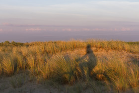 WestCord Hotel de Wadden