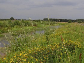 De Slaapfabriek