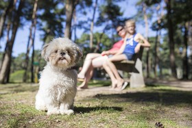Oostappen Vakantiepark Arnhem