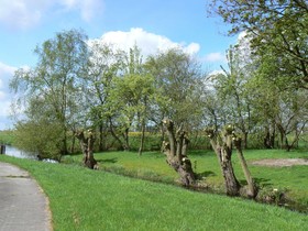 Groningen Buiten B&B