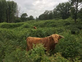 Aan De Molenberg