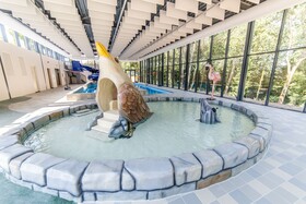 Dormio Resort Maastricht