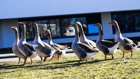 Amrâth Apart-Hotel Schiphol Badhoevedorp