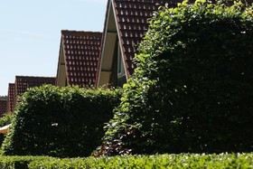 Eureka Vakantiehuisjes