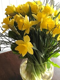 Saenliefde