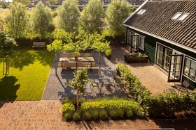 Saenliefde