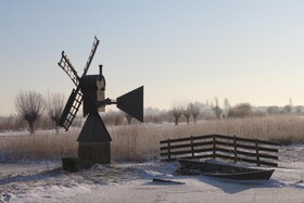 Saenliefde