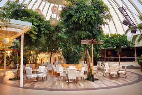 Center Parcs Park Zandvoort Cottages