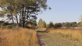 Hoeve Springendal