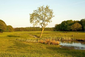 Hoeve Springendal