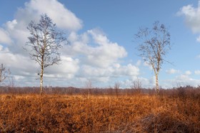Hoeve Springendal