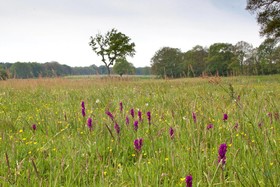 Hoeve Springendal