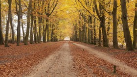 Hoeve Springendal