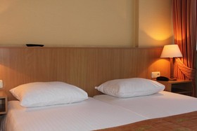 Hotel de Zwaan