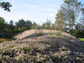 Huys Ter Schelde