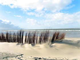 De Logerij Renesse