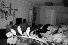 Hotel Royal Sas Van Gent