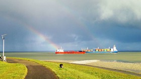 Hotel Golden Tulip L Escaut