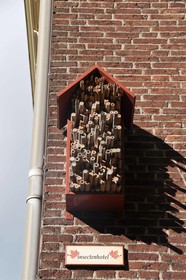 De Plataan