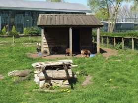EuroParcs De Biesbosch - Chalets
