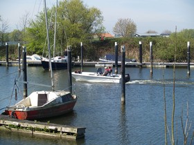 EuroParcs De Biesbosch - Chalets