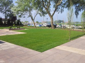 EuroParcs De Biesbosch - Chalets