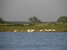 Logis Hotel De Brabantse Biesbosch