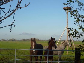 Boerderij De Verwondering