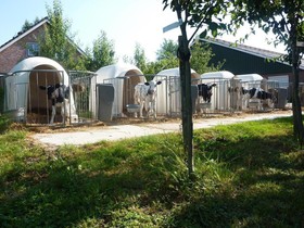 Boerderij De Verwondering