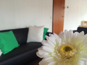 The Budget Hotel