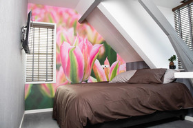 House Of Tulips