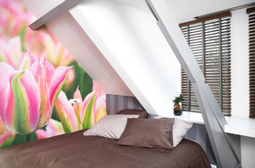 House Of Tulips