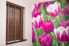 House Of Tulips
