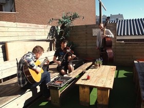 The Flying Pig Beach Hostel