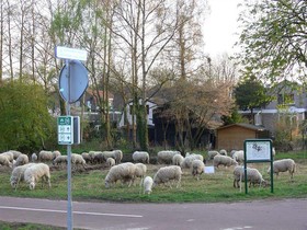 Bed & Breakfast Inndeberm