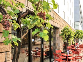 Hotel ibis Rotterdam City Centre