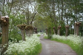 Gastenverblijf Rodenburg