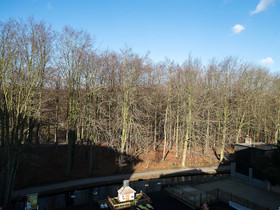 BizStay Park Central Apartments