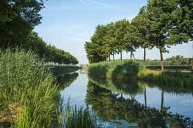 Linge Elst