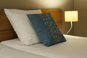 Linge Elst