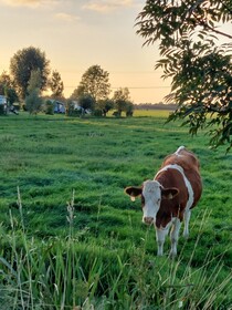 Boerderij Hazenveld