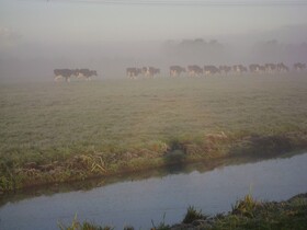 Boerderij Hazenveld
