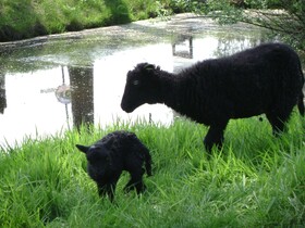 Boerderij Hazenveld