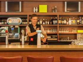 Ibis Utrecht