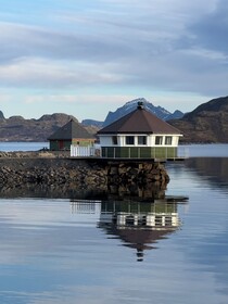Fjordcamp