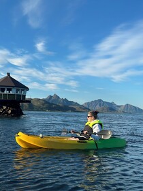 Fjordcamp