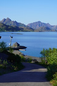 Fjordcamp